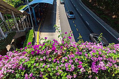 恐怖游戏《堕》Steam页面上线 发售日待定